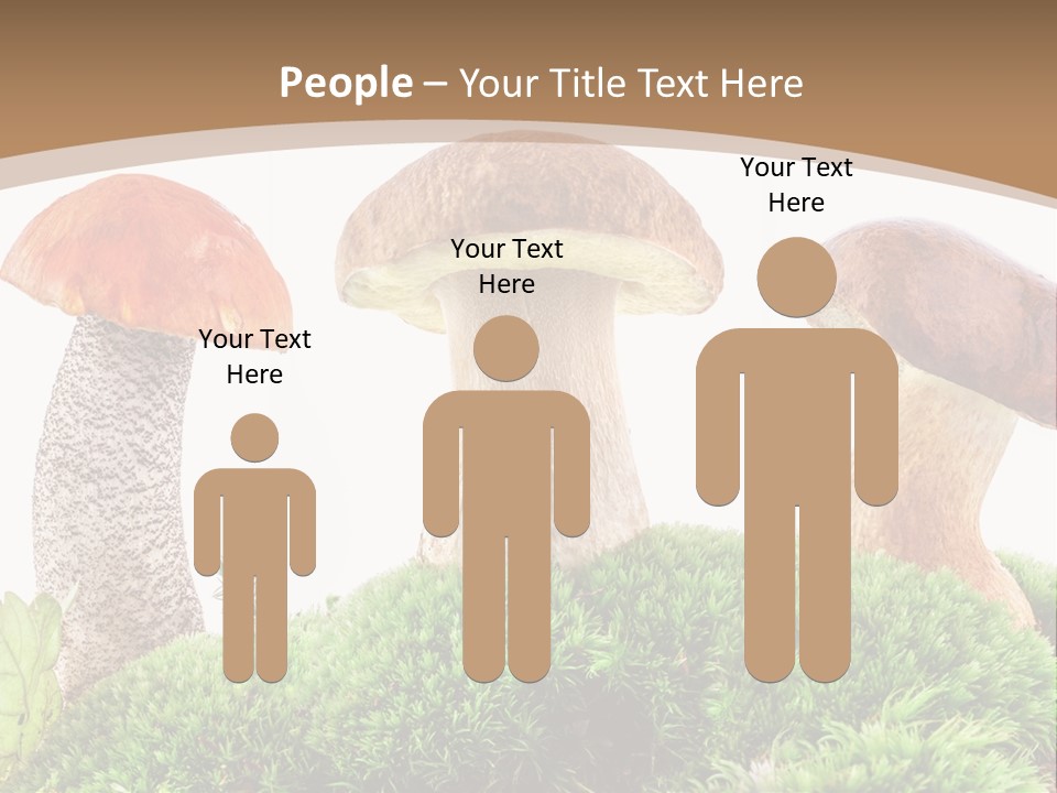 Ripe Chestnut Food PowerPoint Template