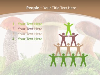 Ripe Chestnut Food PowerPoint Template