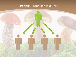 Ripe Chestnut Food PowerPoint Template