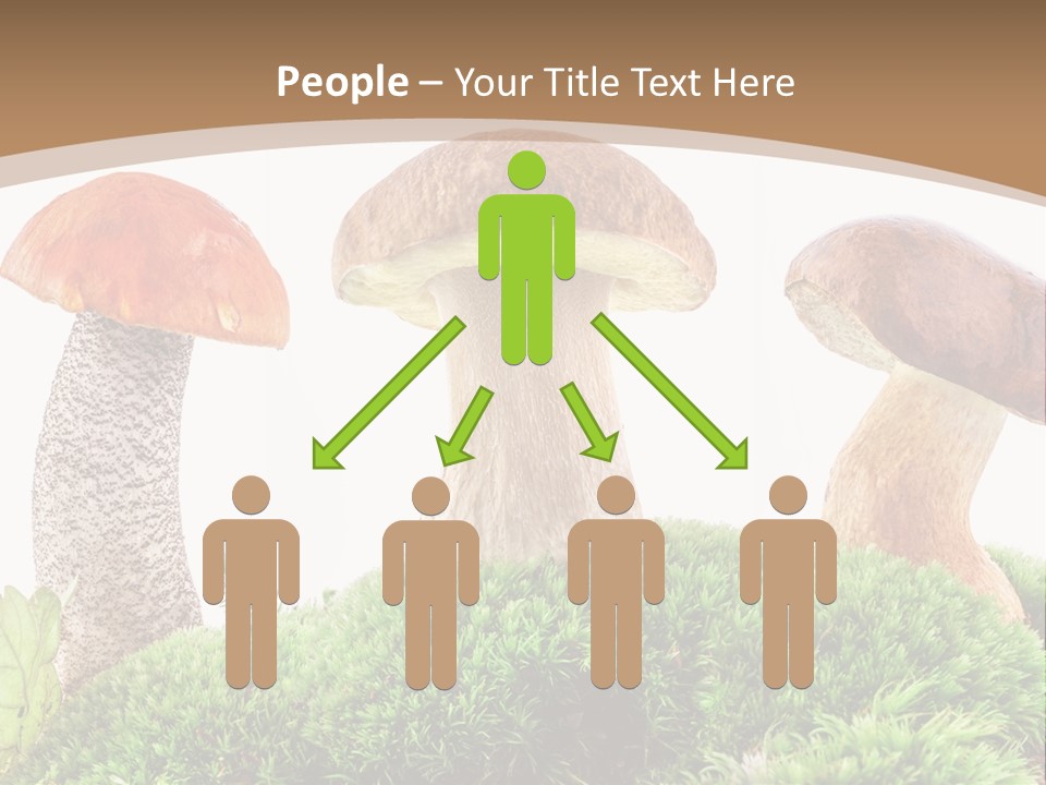 Ripe Chestnut Food PowerPoint Template