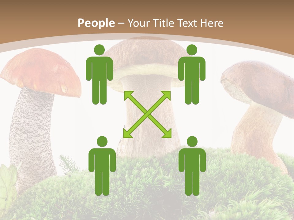 Ripe Chestnut Food PowerPoint Template