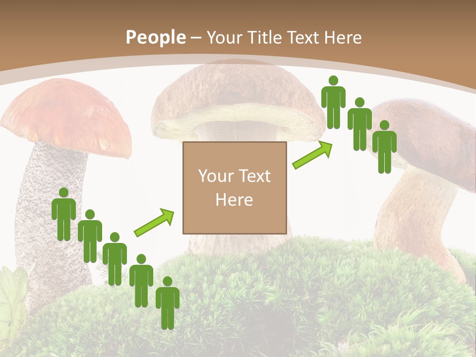 Ripe Chestnut Food PowerPoint Template