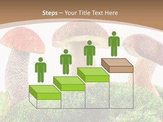 Ripe Chestnut Food PowerPoint Template
