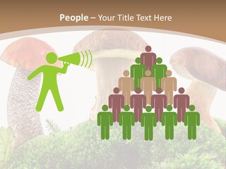 Ripe Chestnut Food PowerPoint Template