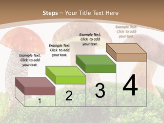 Ripe Chestnut Food PowerPoint Template