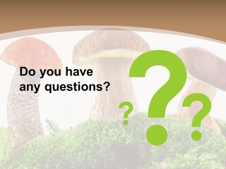 Ripe Chestnut Food PowerPoint Template