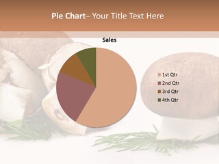 Parsley Meal Composition PowerPoint Template