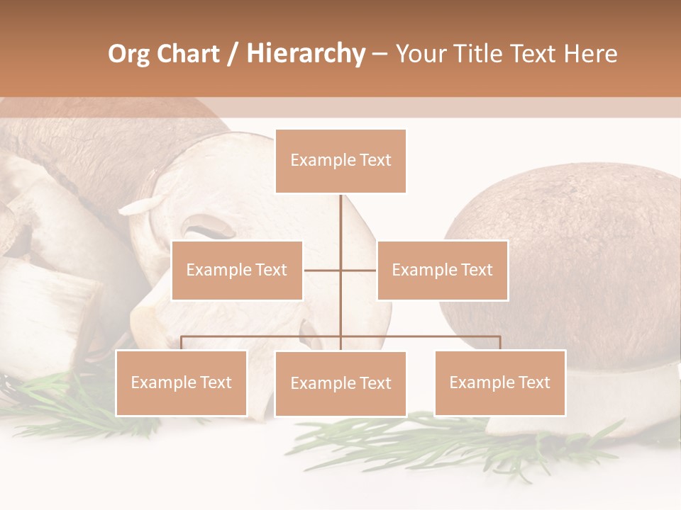 Parsley Meal Composition PowerPoint Template
