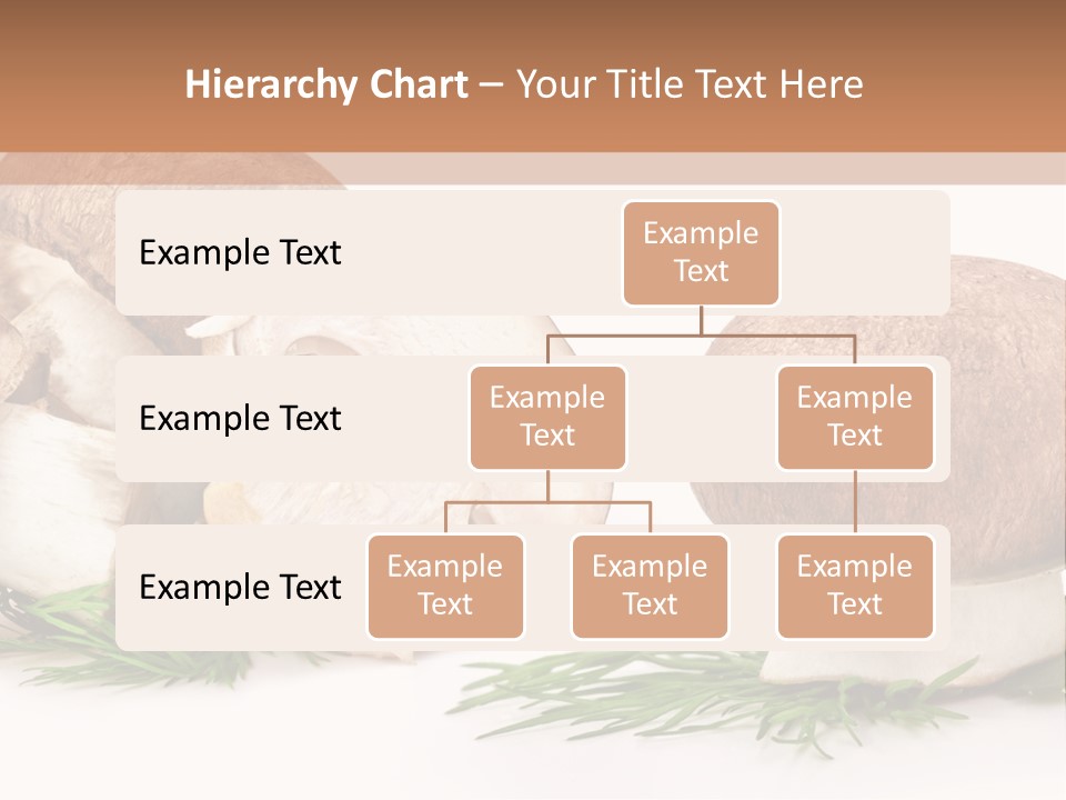 Parsley Meal Composition PowerPoint Template