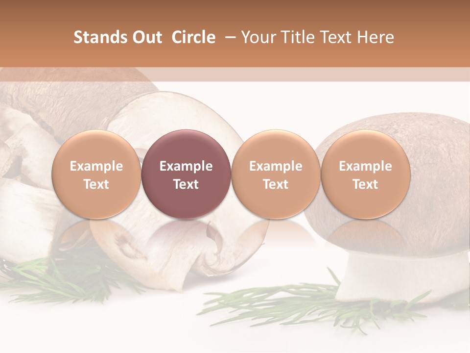 Parsley Meal Composition PowerPoint Template