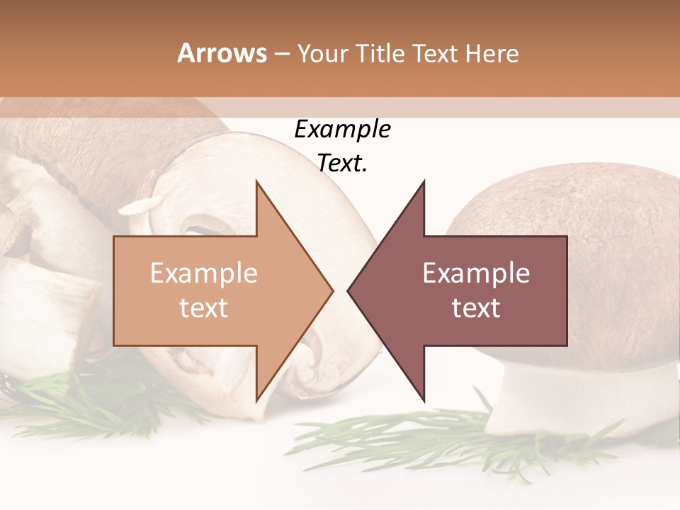 Parsley Meal Composition PowerPoint Template