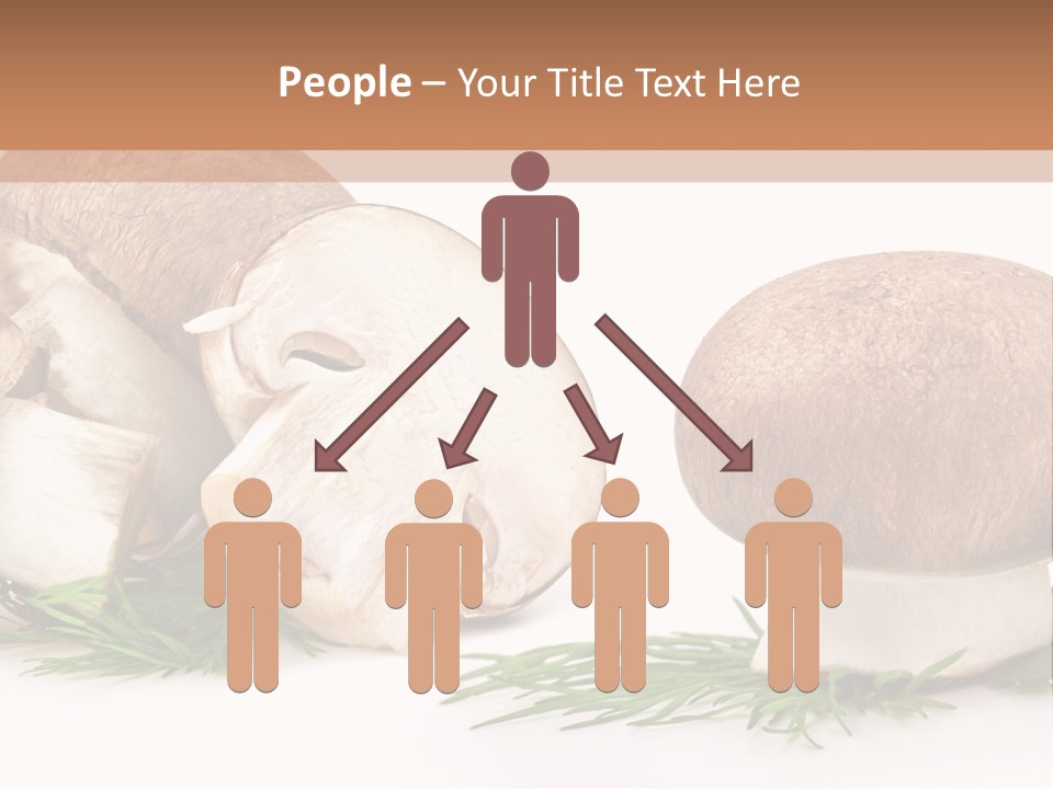 Parsley Meal Composition PowerPoint Template