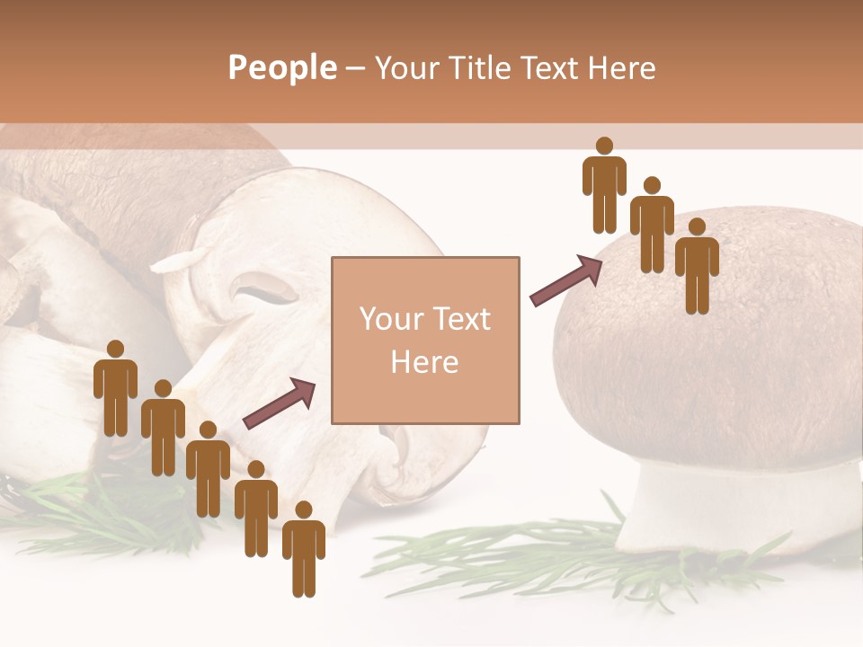 Parsley Meal Composition PowerPoint Template