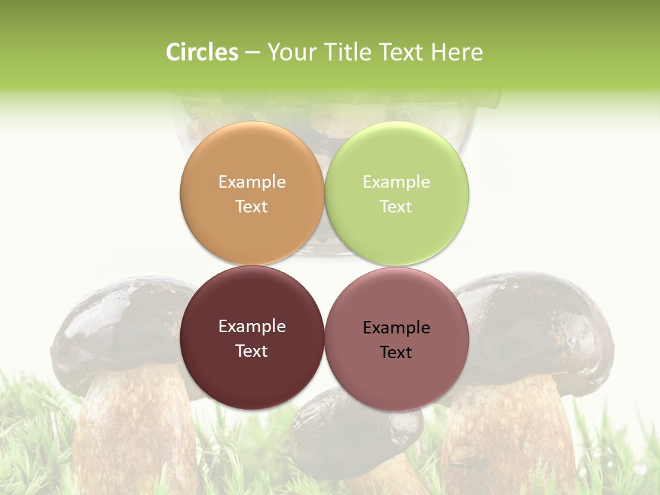 White Cap Dish PowerPoint Template