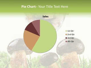 White Cap Dish PowerPoint Template