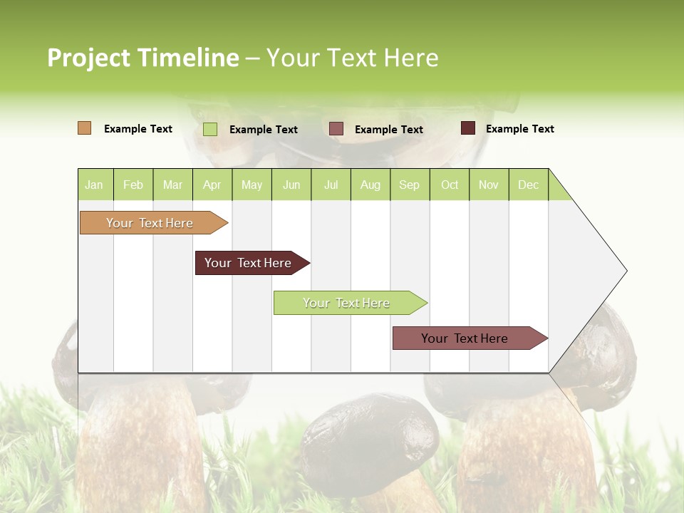 White Cap Dish PowerPoint Template