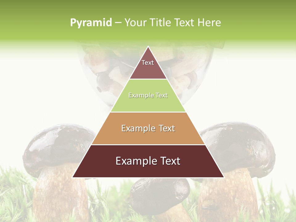 White Cap Dish PowerPoint Template