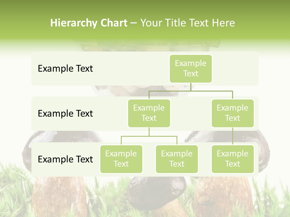 White Cap Dish PowerPoint Template