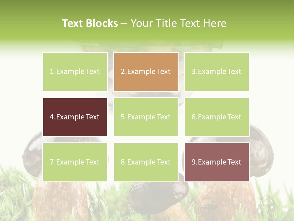 White Cap Dish PowerPoint Template