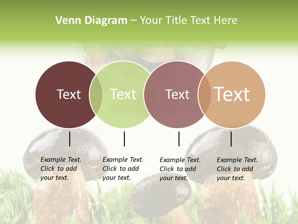 White Cap Dish PowerPoint Template