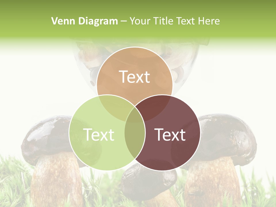 White Cap Dish PowerPoint Template