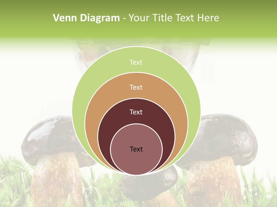 White Cap Dish PowerPoint Template