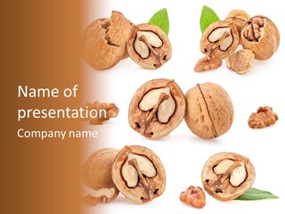 Nature Natural Closeup PowerPoint Template