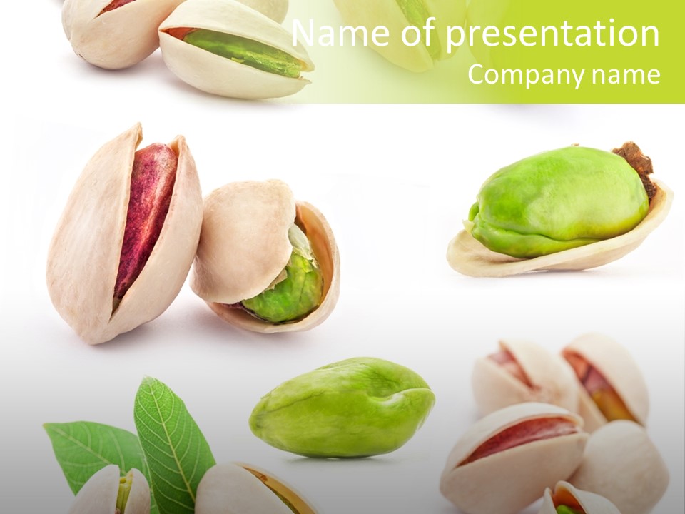 Food Foodstuff Shell PowerPoint Template