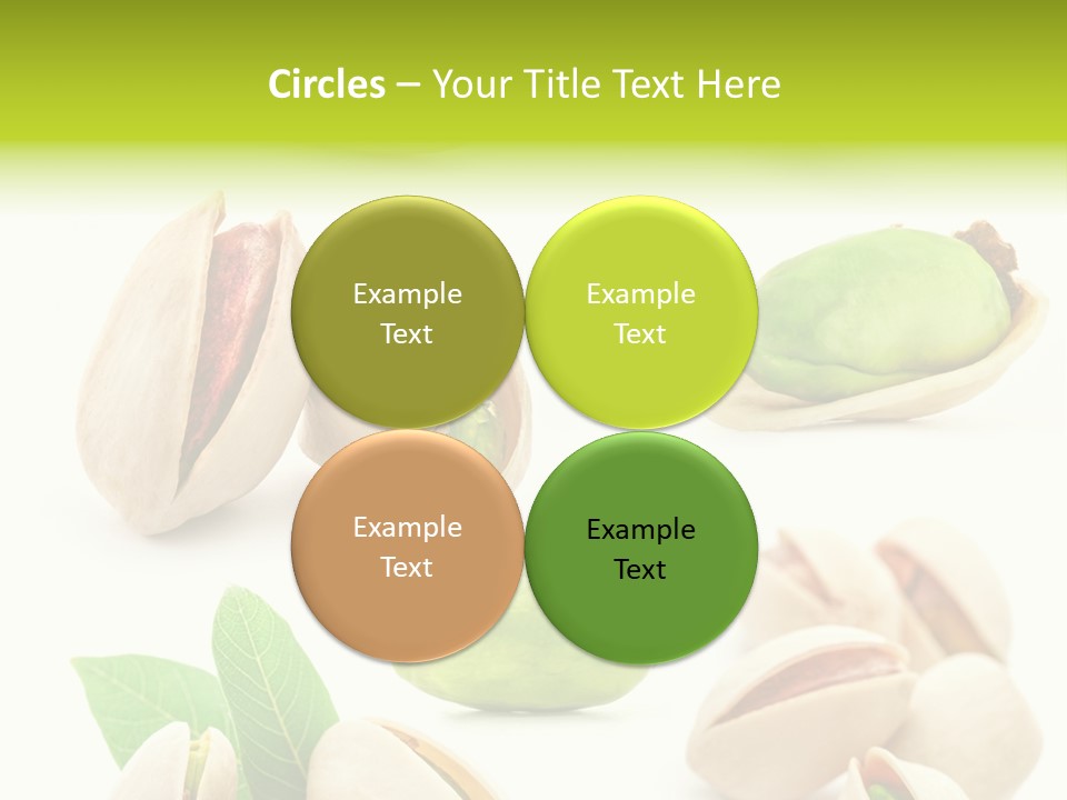 Food Foodstuff Shell PowerPoint Template