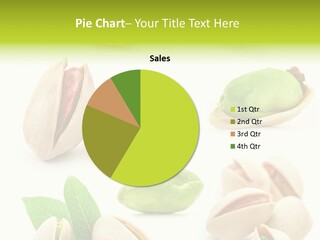 Food Foodstuff Shell PowerPoint Template