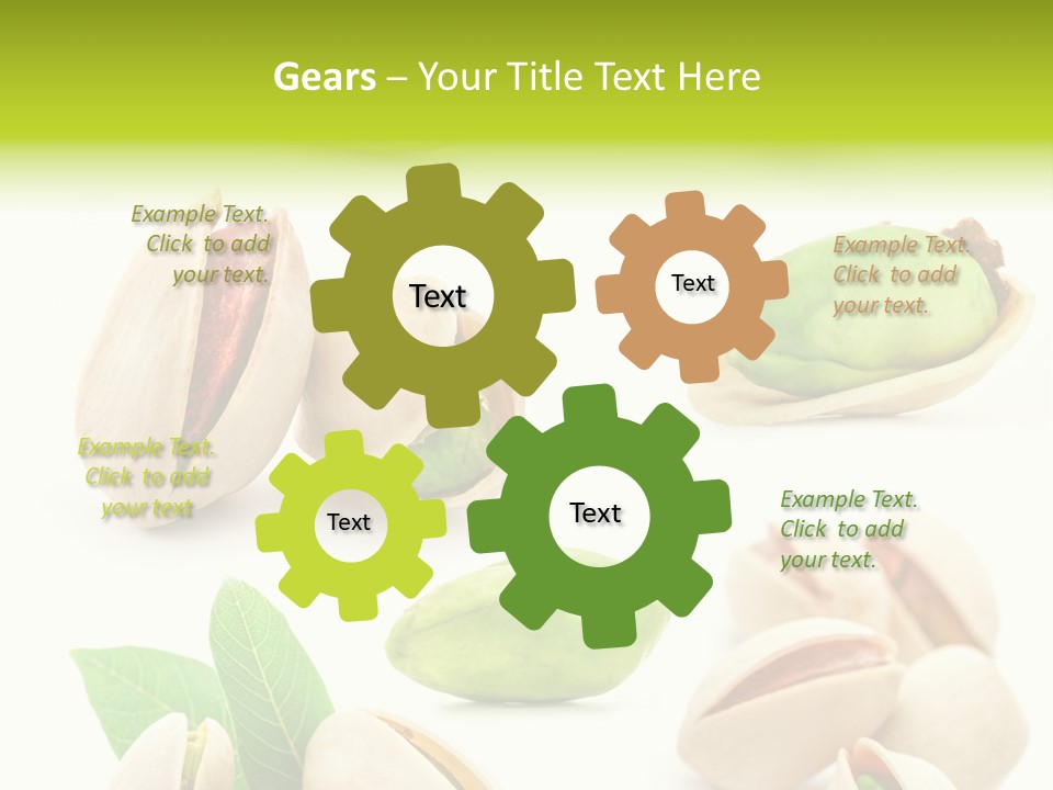 Food Foodstuff Shell PowerPoint Template