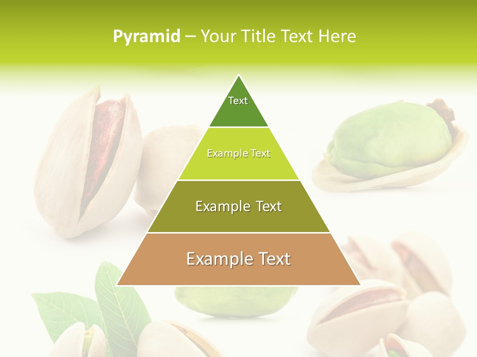 Food Foodstuff Shell PowerPoint Template