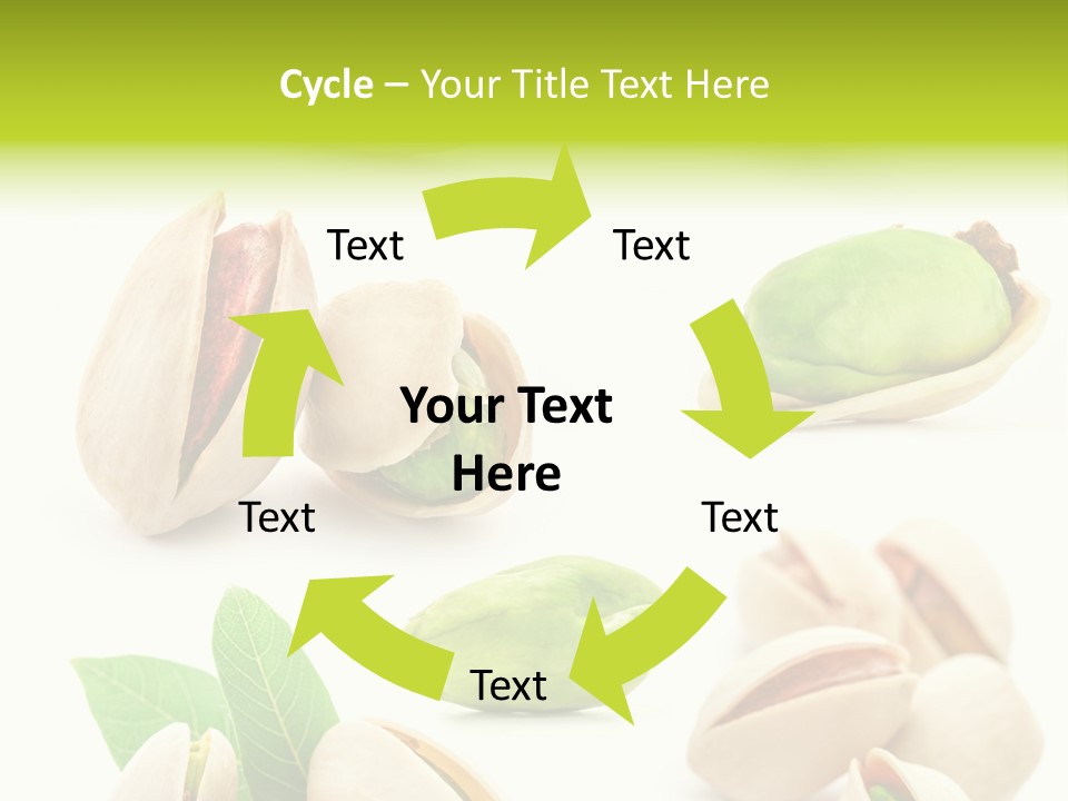 Food Foodstuff Shell PowerPoint Template