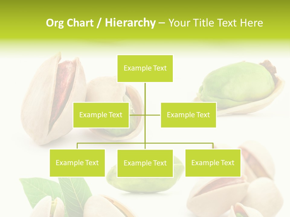 Food Foodstuff Shell PowerPoint Template