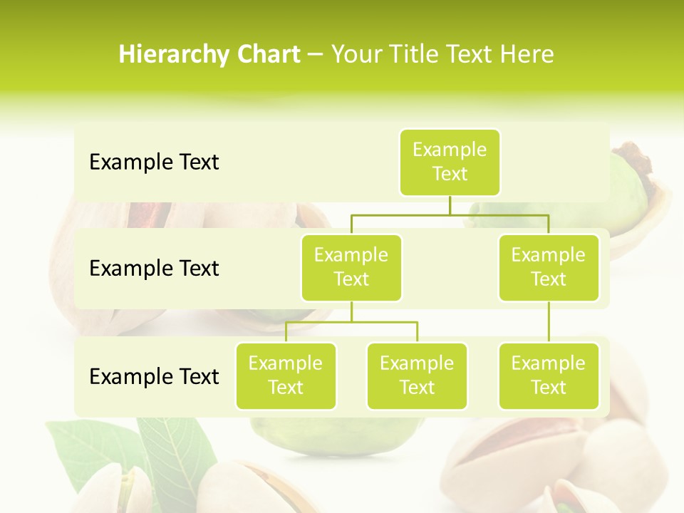 Food Foodstuff Shell PowerPoint Template