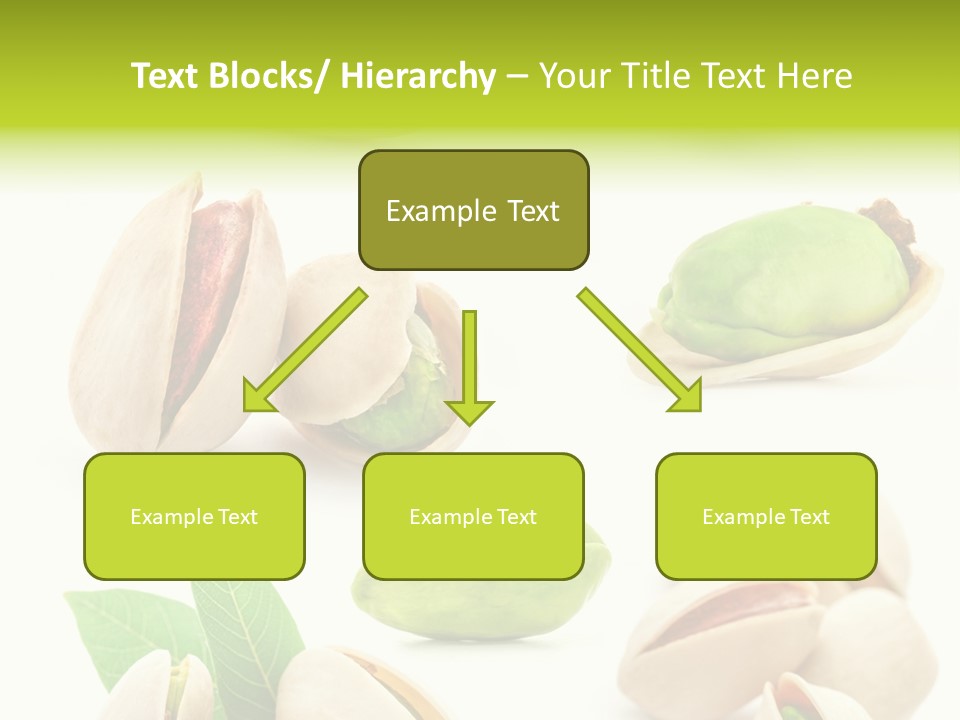 Food Foodstuff Shell PowerPoint Template