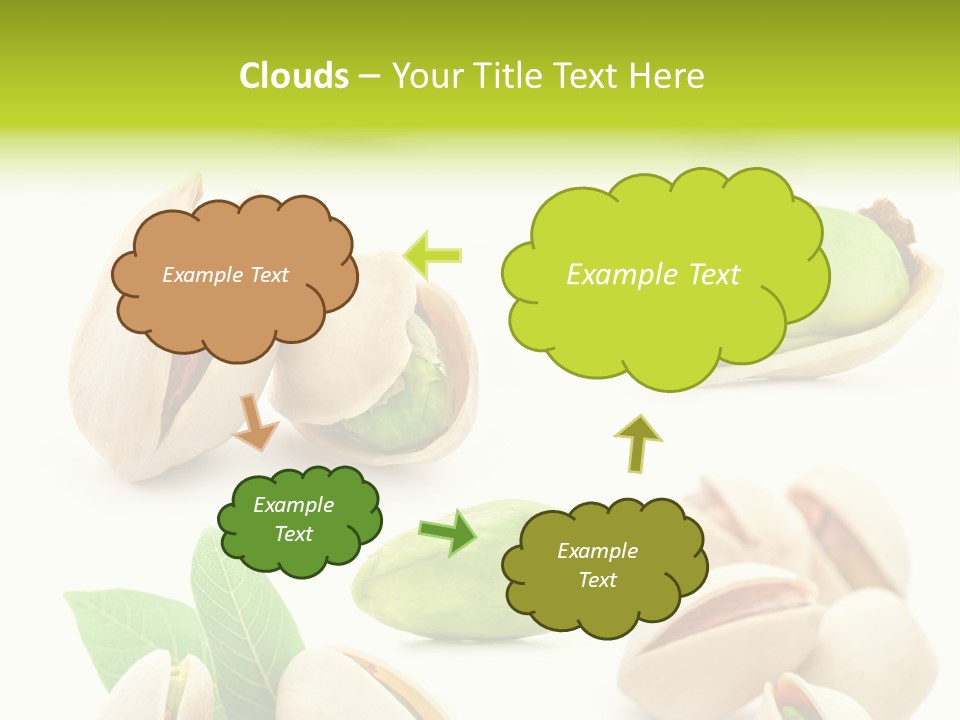 Food Foodstuff Shell PowerPoint Template
