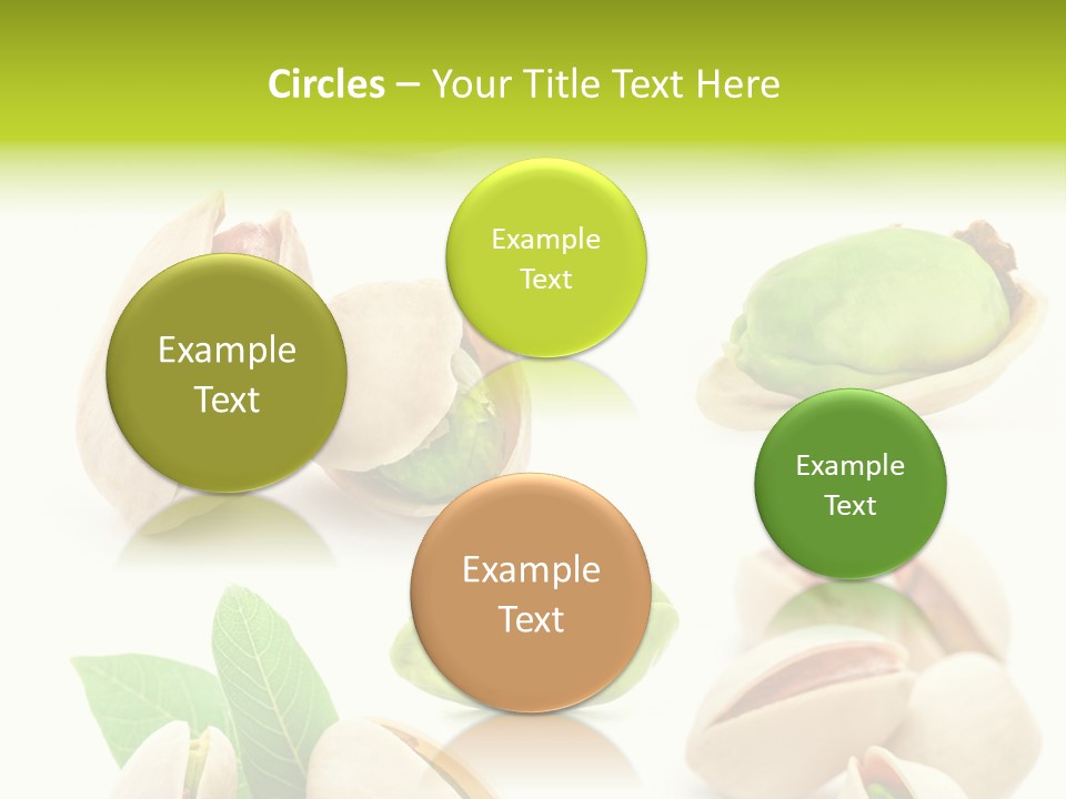 Food Foodstuff Shell PowerPoint Template