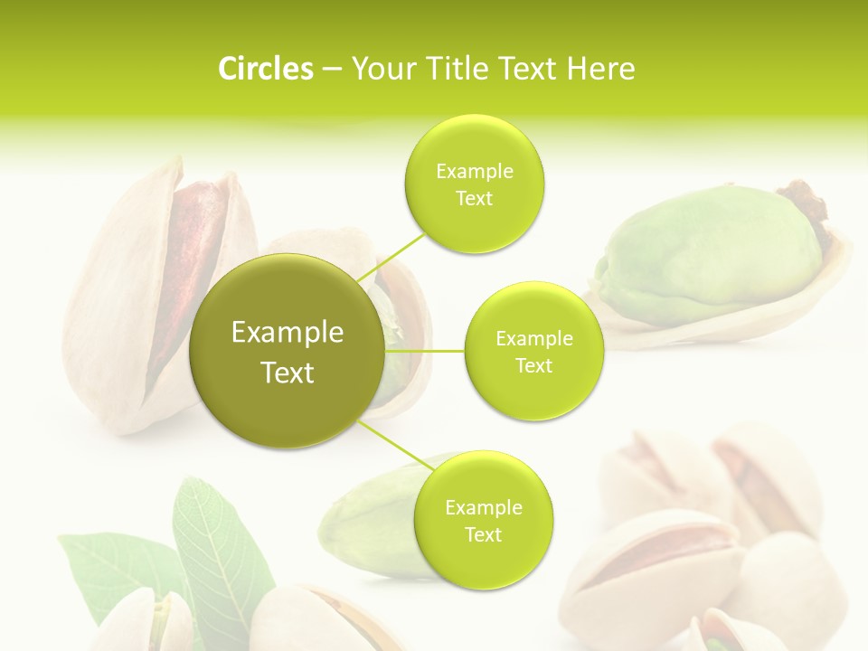 Food Foodstuff Shell PowerPoint Template