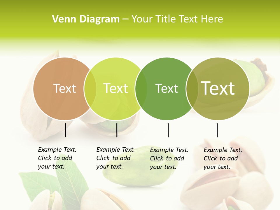Food Foodstuff Shell PowerPoint Template
