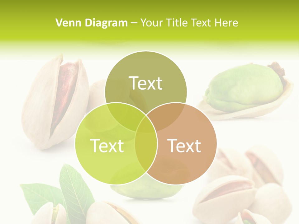 Food Foodstuff Shell PowerPoint Template