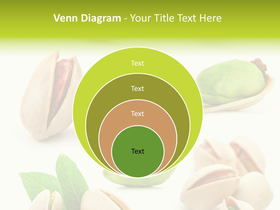 Food Foodstuff Shell PowerPoint Template