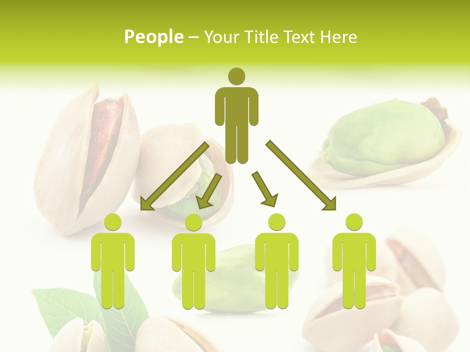 Food Foodstuff Shell PowerPoint Template