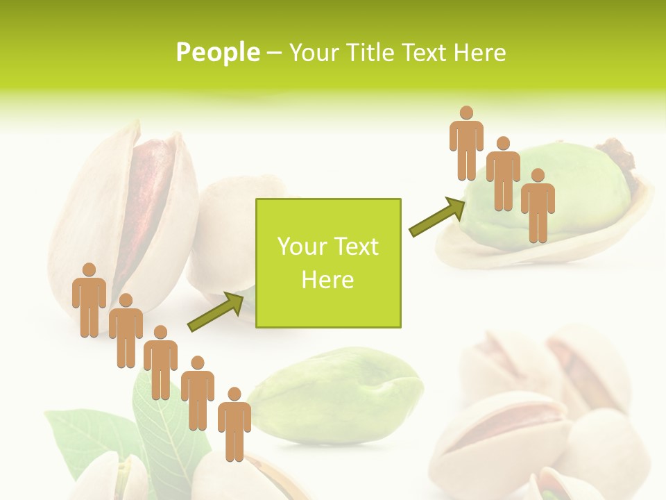 Food Foodstuff Shell PowerPoint Template