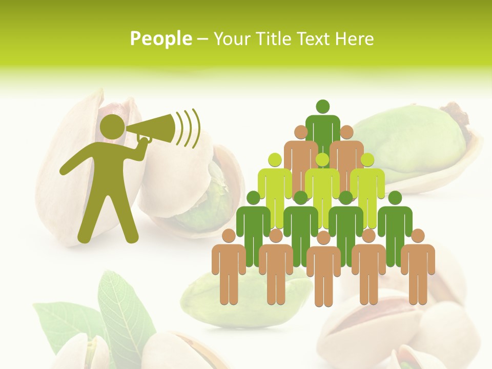 Food Foodstuff Shell PowerPoint Template