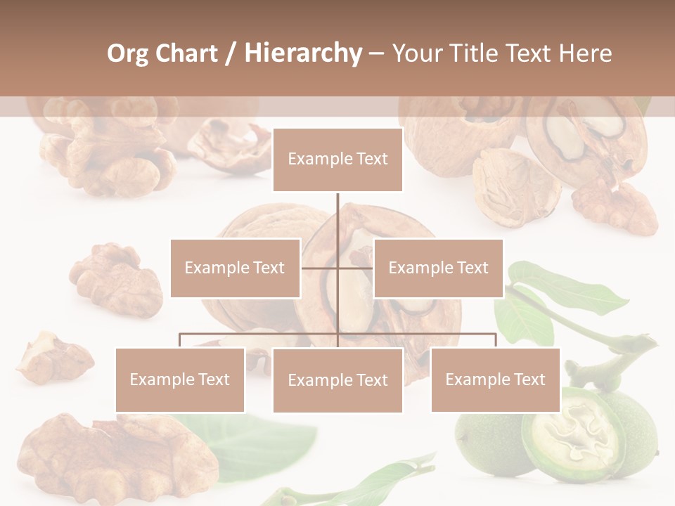 Nutty Healthy Leaf PowerPoint Template
