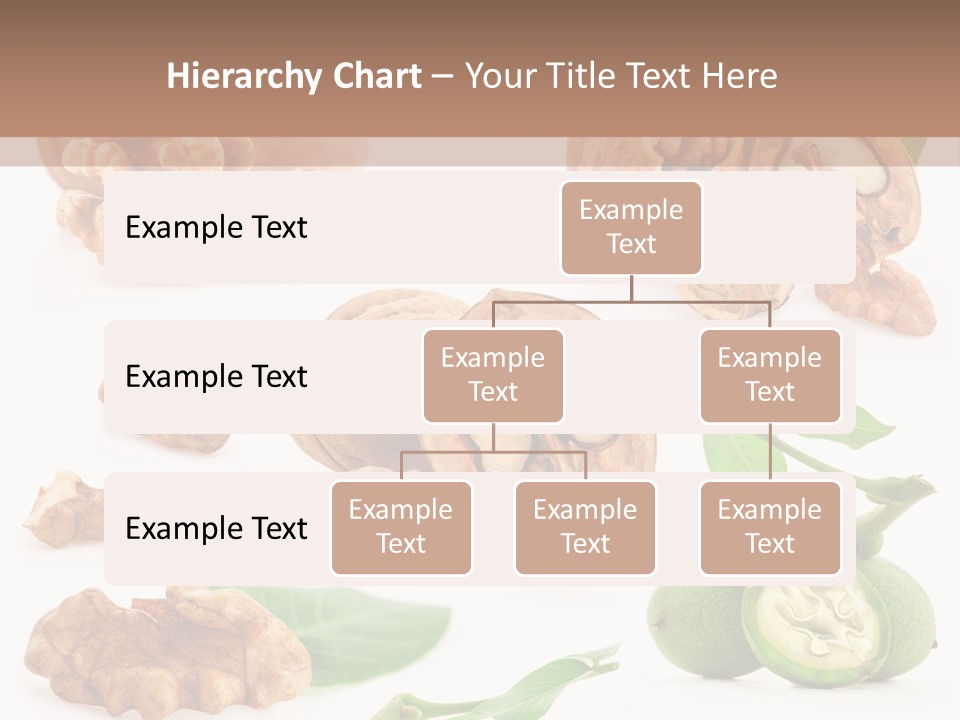 Nutty Healthy Leaf PowerPoint Template