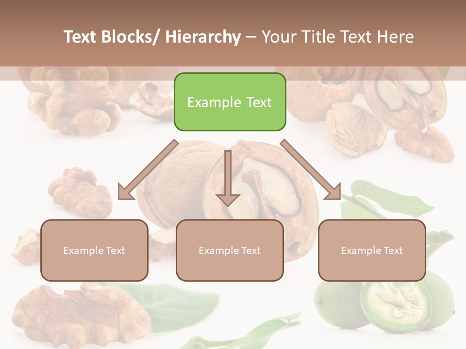 Nutty Healthy Leaf PowerPoint Template