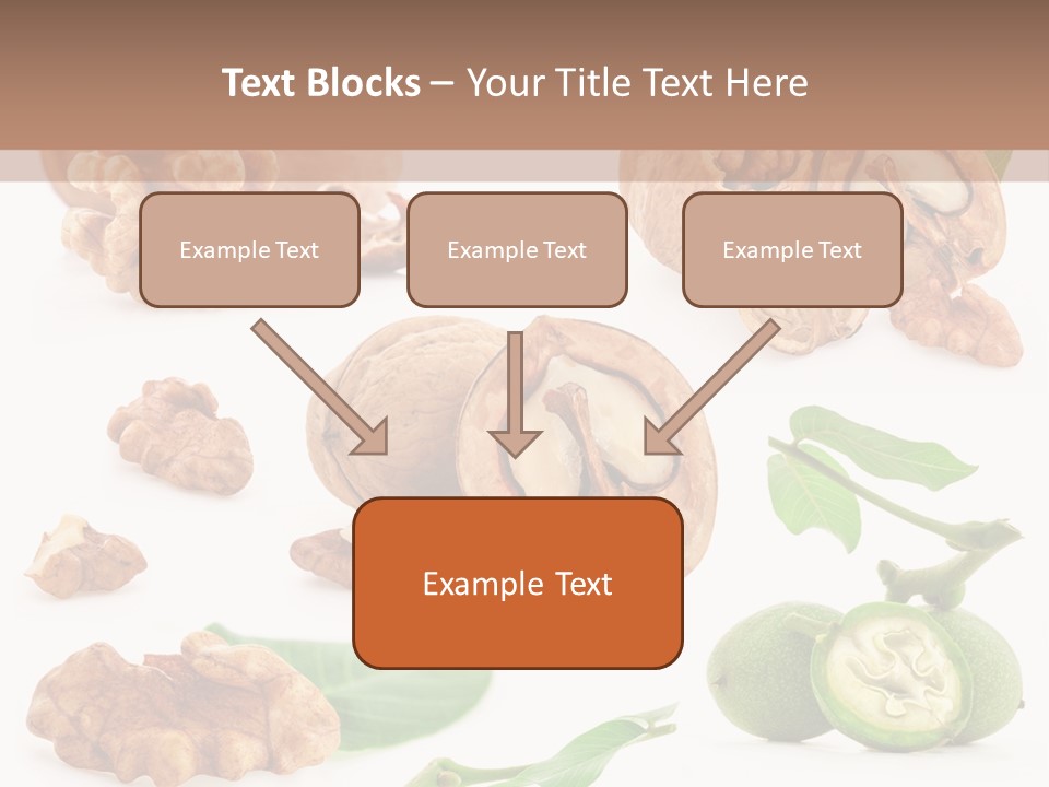 Nutty Healthy Leaf PowerPoint Template