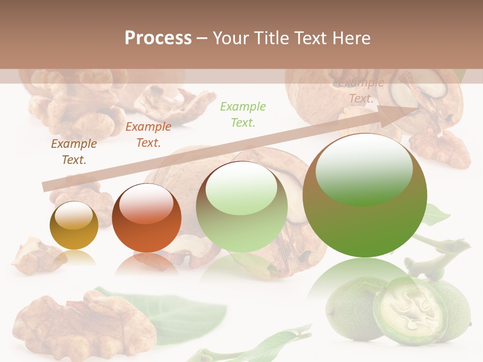 Nutty Healthy Leaf PowerPoint Template